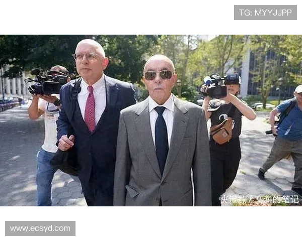 热刺大股东刘易斯家族信托注资1亿镑助力俱乐部发展