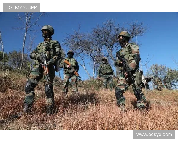 巴西连线即将落幕各方关注终章揭晓的关键时刻